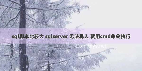 sql脚本比较大 sqlserver 无法导入 就用cmd命令执行