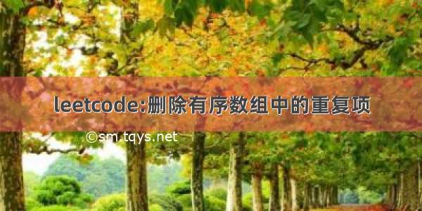 leetcode:删除有序数组中的重复项