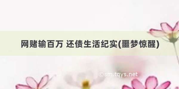 网赌输百万 还债生活纪实(噩梦惊醒)