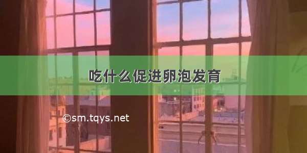 吃什么促进卵泡发育