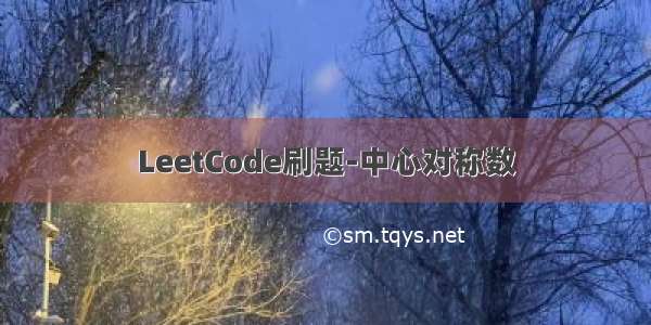 LeetCode刷题-中心对称数