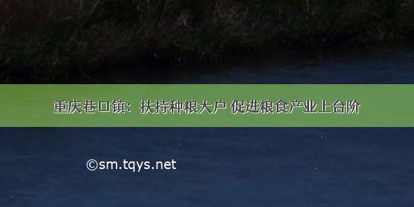 重庆巷口镇：扶持种粮大户 促进粮食产业上台阶