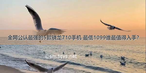 全网公认最强的5款骁龙710手机 最低1099谁最值得入手？