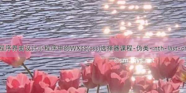 微信小程序界面设计小程序中的WXSS(css)选择器课程-伪类-:nth-last-child伪类