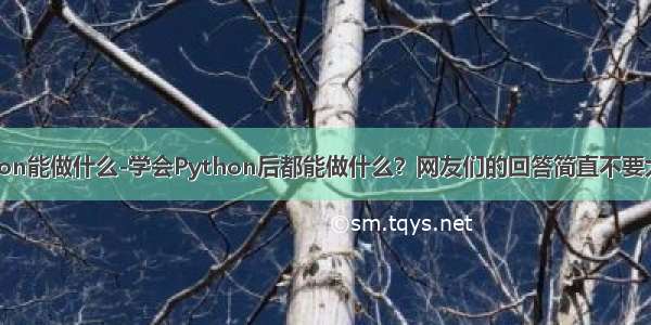 python能做什么-学会Python后都能做什么？网友们的回答简直不要太厉害