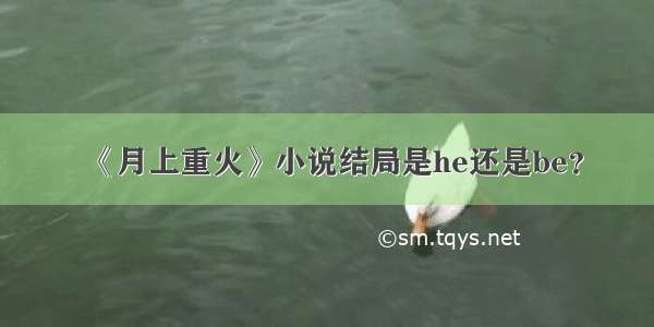 《月上重火》小说结局是he还是be？