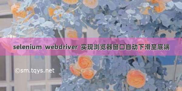 selenium  webdriver  实现浏览器窗口自动下滑至底端