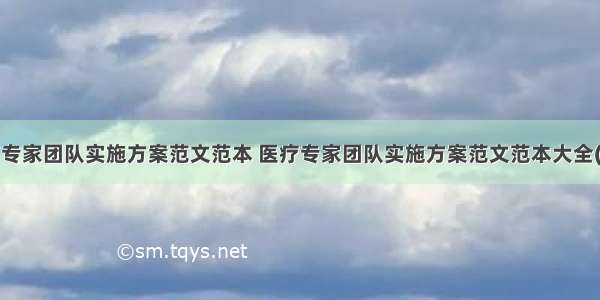 医疗专家团队实施方案范文范本 医疗专家团队实施方案范文范本大全(2篇)