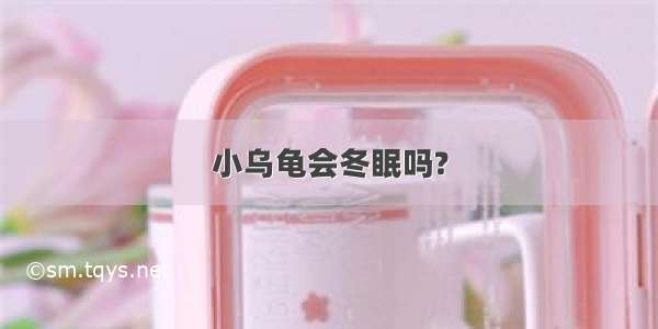 小乌龟会冬眠吗?