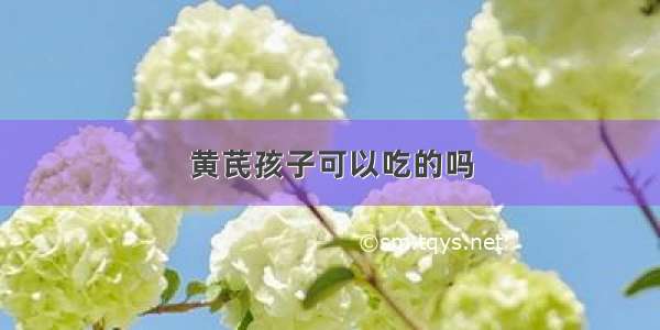 黄芪孩子可以吃的吗