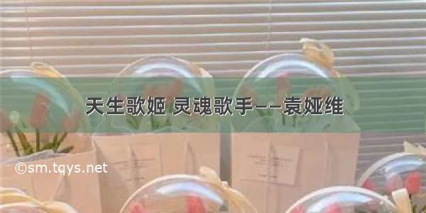 天生歌姬 灵魂歌手——袁娅维