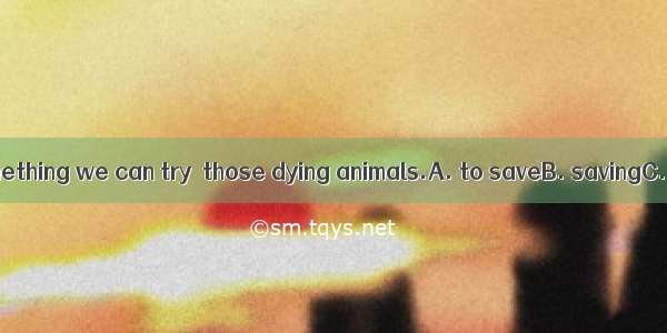 There is still something we can try  those dying animals.A. to saveB. savingC. to be saved