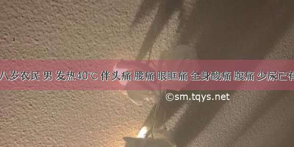 四十八岁农民 男 发热40℃ 伴头痛 腰痛 眼眶痛 全身酸痛 腹痛 少尿已有1周 