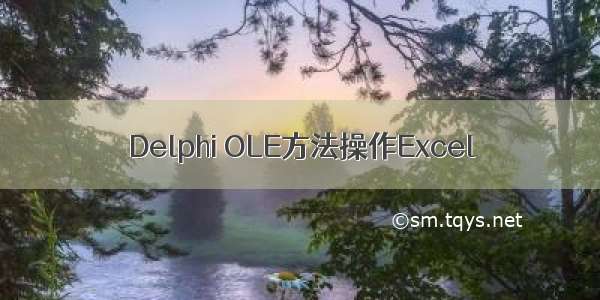 Delphi OLE方法操作Excel