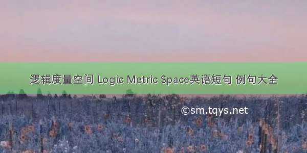 逻辑度量空间 Logic Metric Space英语短句 例句大全