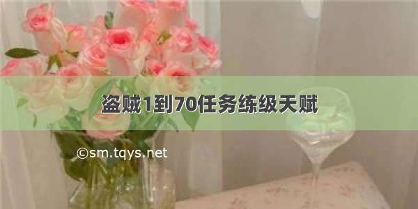 盗贼1到70任务练级天赋