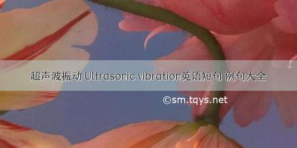 超声波振动 Ultrasonic vibration英语短句 例句大全