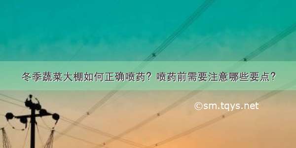 冬季蔬菜大棚如何正确喷药？喷药前需要注意哪些要点？