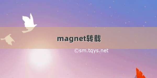 magnet转载