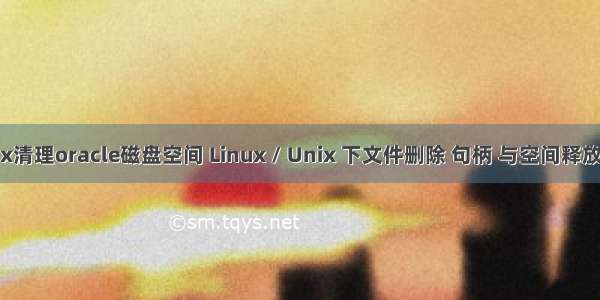 linux清理oracle磁盘空间 Linux / Unix 下文件删除 句柄 与空间释放问题