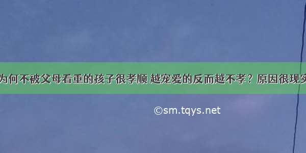 为何不被父母看重的孩子很孝顺 越宠爱的反而越不孝？原因很现实