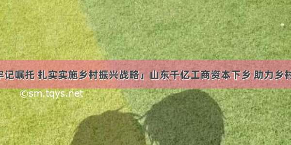 「牢记嘱托 扎实实施乡村振兴战略」山东千亿工商资本下乡 助力乡村振兴