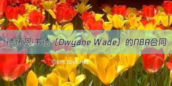 德怀恩·韦德（Dwyane Wade）的NBA合同
