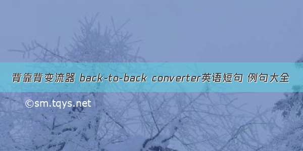 背靠背变流器 back-to-back converter英语短句 例句大全