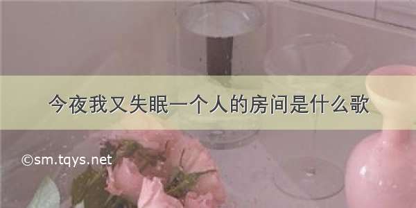 今夜我又失眠一个人的房间是什么歌