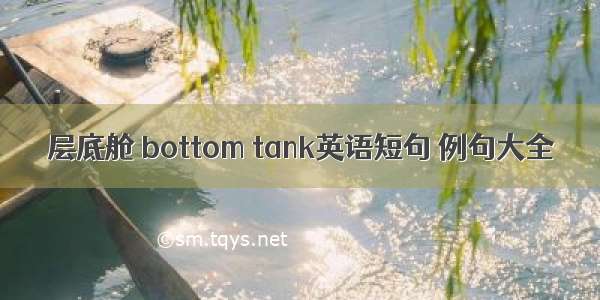 层底舱 bottom tank英语短句 例句大全