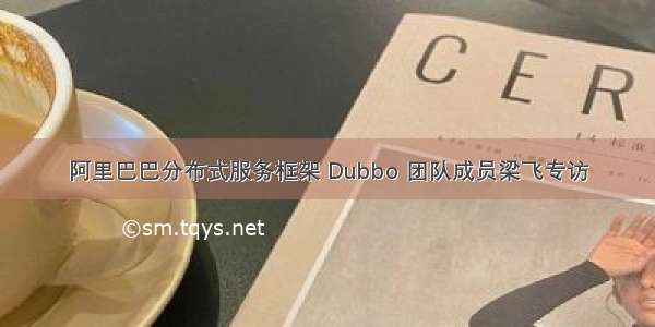 阿里巴巴分布式服务框架 Dubbo 团队成员梁飞专访