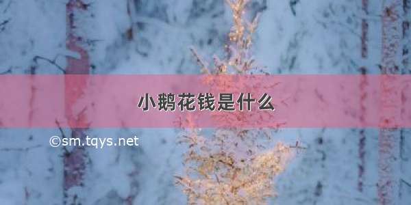 小鹅花钱是什么