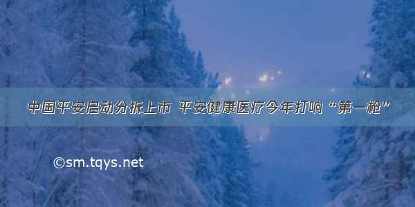 中国平安启动分拆上市 平安健康医疗今年打响“第一枪”