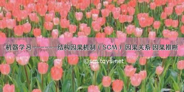 机器学习------结构因果机制（SCM） 因果关系 因果推断