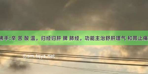 佛手:辛 苦 酸 温。归经归肝 脾 肺经。功能主治舒肝理气 和胃止痛。