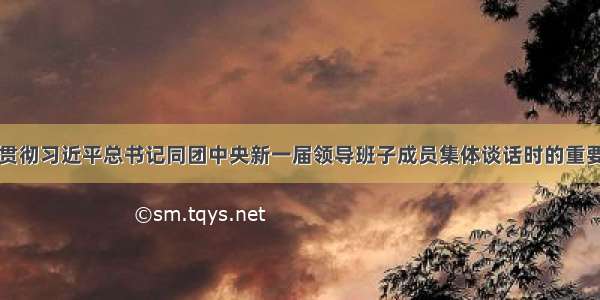 三论学习贯彻习近平总书记同团中央新一届领导班子成员集体谈话时的重要讲话精神