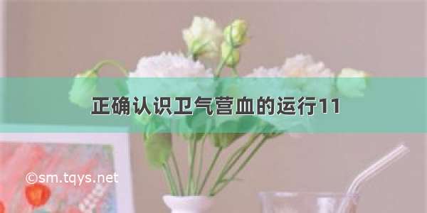 正确认识卫气营血的运行11