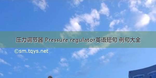 压力调节器 Pressure regulator英语短句 例句大全