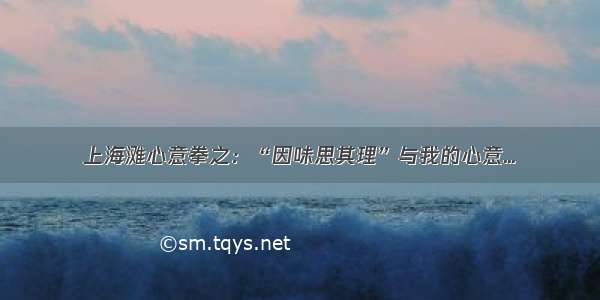 上海滩心意拳之：“因味思其理”与我的心意...