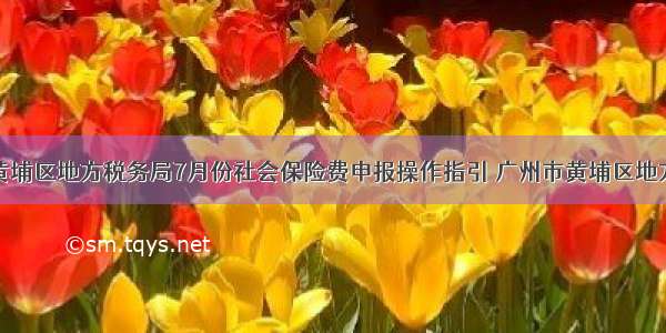 广州市黄埔区地方税务局7月份社会保险费申报操作指引 广州市黄埔区地方税务局