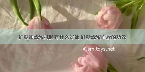 红糖加蜂蜜抹脸有什么好处 红糖蜂蜜面膜的功效