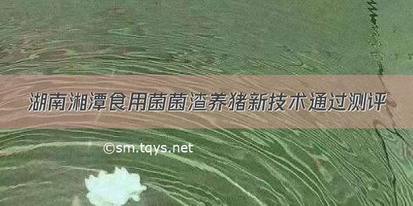 湖南湘潭食用菌菌渣养猪新技术通过测评