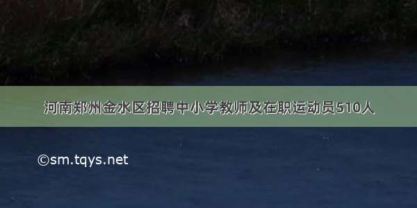 河南郑州金水区招聘中小学教师及在职运动员510人