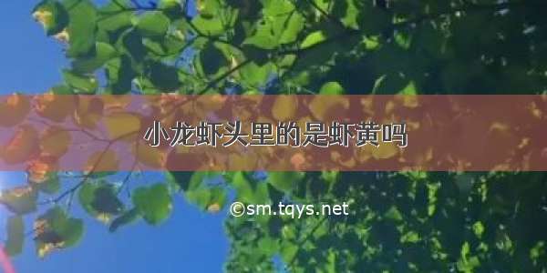 小龙虾头里的是虾黄吗