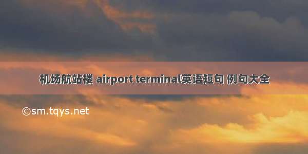 机场航站楼 airport terminal英语短句 例句大全