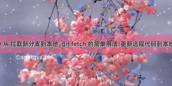 gitee 从 拉取新分支到本地_git fetch 的简单用法:更新远程代码到本地仓库