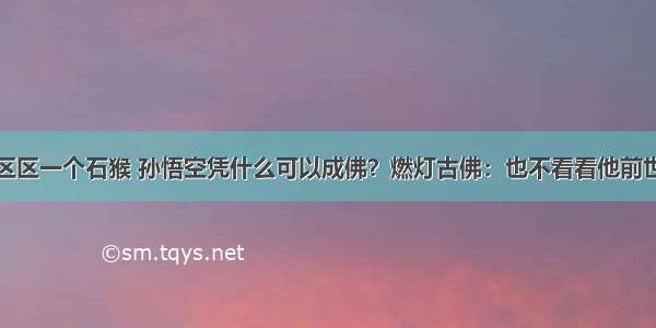 区区一个石猴 孙悟空凭什么可以成佛？燃灯古佛：也不看看他前世