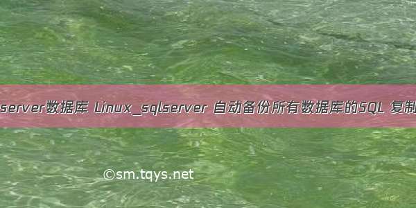 php备份sqlserver数据库 Linux_sqlserver 自动备份所有数据库的SQL 复制代码 代码