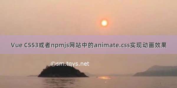 Vue CSS3或者npmjs网站中的animate.css实现动画效果