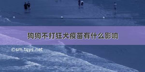 狗狗不打狂犬疫苗有什么影响